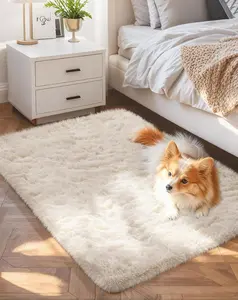 Ophanie Small Ivory Entryway Throw Rugs for Bedroom, 2X3 Mini Area Rug, Affordable Non Slip Fluffy Carpet, Fuzzy Soft Living Room Rugs, Home Decor Aesthetic, Nursery Tianjin Anzhi Jinlin Carpet Co., Ltd