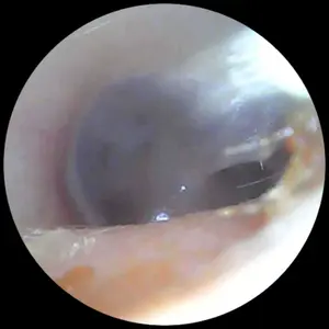 review image 0