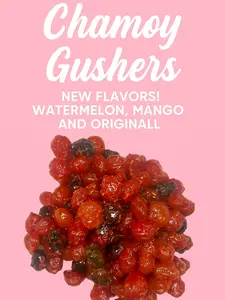 Chamoy gushers | watermelon | mango | original