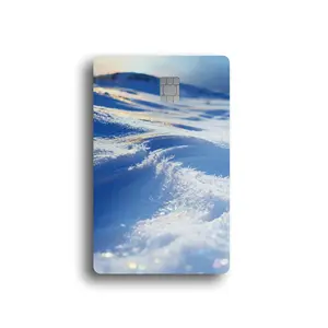 Iridescent Snowdrift Card Skin