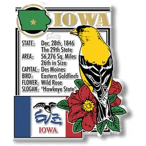 Iowa State Montage Magnet by Classic Magnets, 2.8" x 3.3"