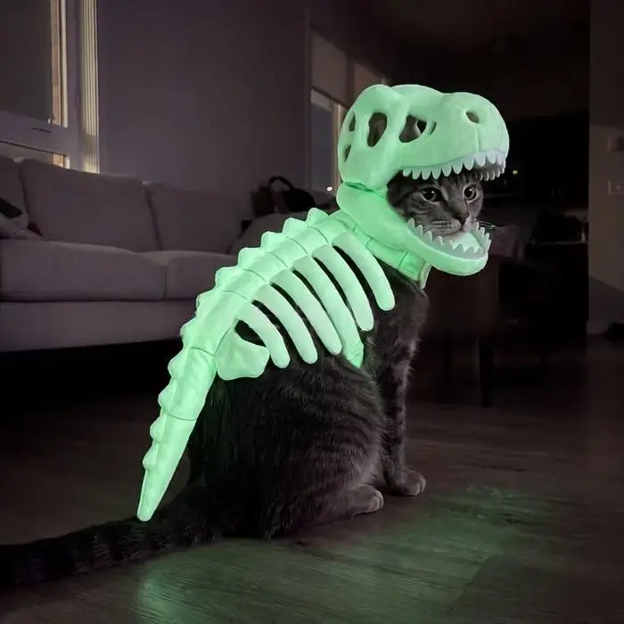 Dark Dinosaur Skeleton Pet Costume
