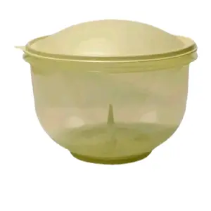 Super Crisp-It: Lettuce Keeper Container with Dome Seal & Spiked Insert