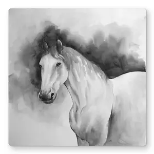 Begin Home Decor C1MP1616QN55VJ 16 x 16 in. Domino Horse - Metal Print Wall Art for Home Decor - Animal Art