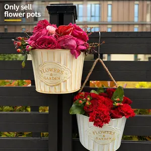 2-Pack Vintage Metal Wall-Mounted Flower Basket, Rustic Style Indoor/outdoor Decor, Lightweight Bohemian Climbing Planter, Powder Coated Finish