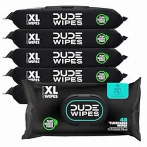 Dude wipes 6 pack