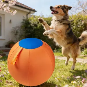 Dog Ball Dog Toys, Cattle Dog Polo Ball, Australian Shepherd Dog Polo, Dog Giant Ball Toy, Full Set Of Dog Ball Golden Retriever Bite Ball To Relieve Boredom Ball To Tease Shiba Inu Corgi Self-Hi Pet Training Ball Outdoor