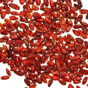 Chile Pequin Pepper 20+ Seeds