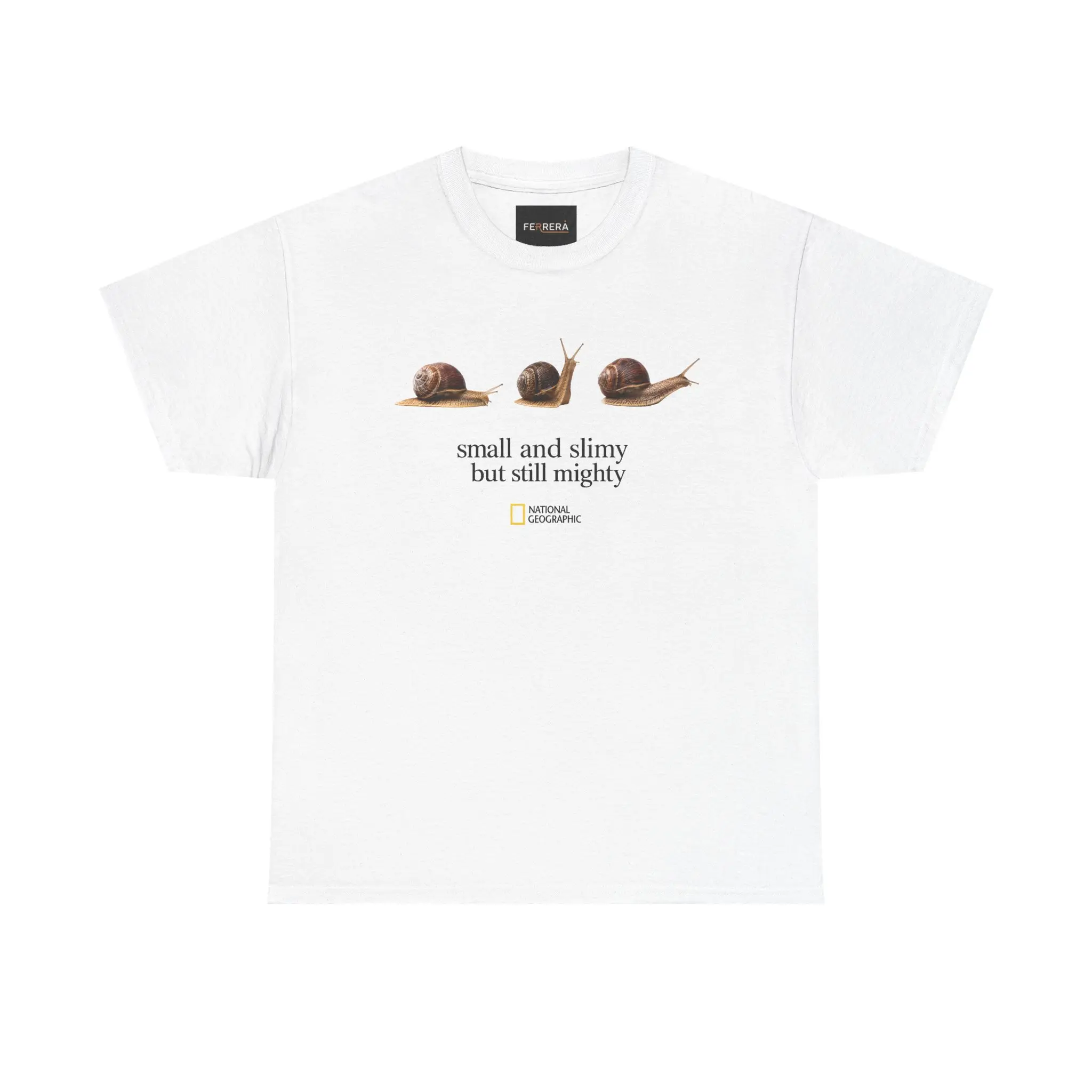Small Slimy Mighty Snail Design, Cute Snail Illustration