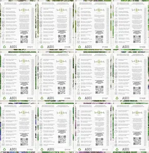 Seed Needs Culinary Herb Seed Collection - 12 Individual Seed Packets of Heirloom Non-GMO & Untreated Herbs Seed - Plant an Indoor / Outdoor Garden