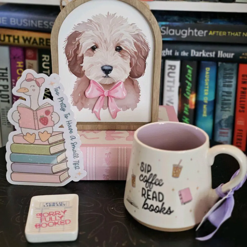Oversized Laminated Bookmarks with Tassel | Funny Bookish Designs, Silly Goose, Raccoon, TBR Shelf, Cute Reader Gifts Durable Vibrant