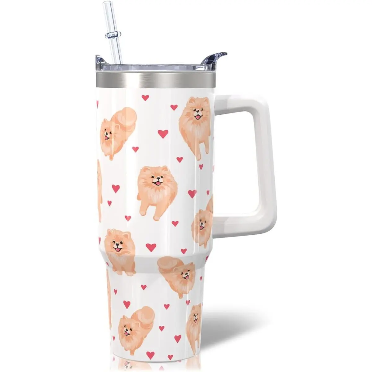 30oz Stainless Steel Pomeranian Insulated Tumbler Mug - Water Bottle, Portable Dog Lovers Gift for Women - Outdoor Hot and Cold Drink Cup with Handle, Straws, Lid, Water Bottles, Bottles