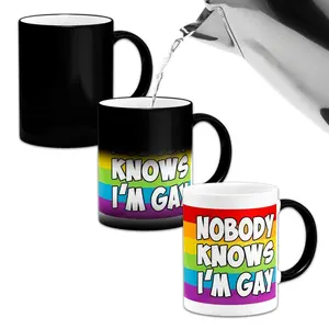 I'm Gay Mug, Funny Mug, Novelty Coffee Mug, 1 Count Color-changing Heated Water Cup, Reusable Coffee Cup, Drinkware Gift for Coffee Cup Lovers & Unique Cup Collectors