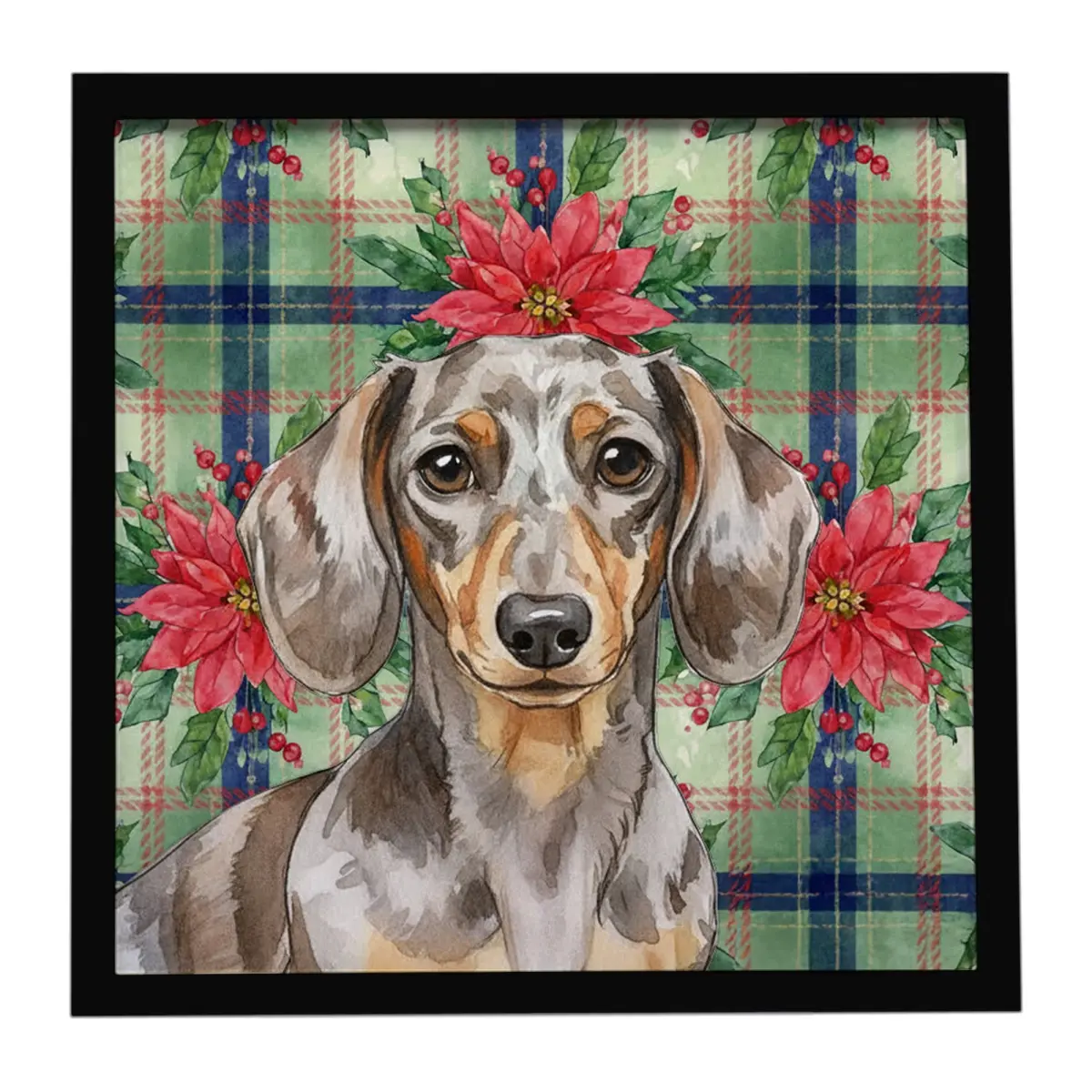 Carolines Treasures WDK8594MFP88 8x8 in. Artistic Aluminium Dapple Dachshund Christmas Poinsettia Wall Artwork, Animal-Themed Painted Print, Home Decor Wall Hanger, Gift-Worthy Flowers Accent