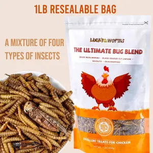 LuckyQworms Dried Insect Trail Mix 1LB, Ultimate Bug Blend Dried Mealworms Black Soldier Fly Larvae Crickets Grasshoppers for Chickens Birds Turtles Poultry Fish Ducks Turkey Lizard Tortoise Hamster Quail and Much More