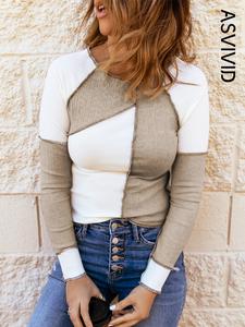 women's patchwork seam detail raglan sleeve tee, fall outfits, casual long sleeve round neck t-shirt for fall, fashion women's fall top for daily wear