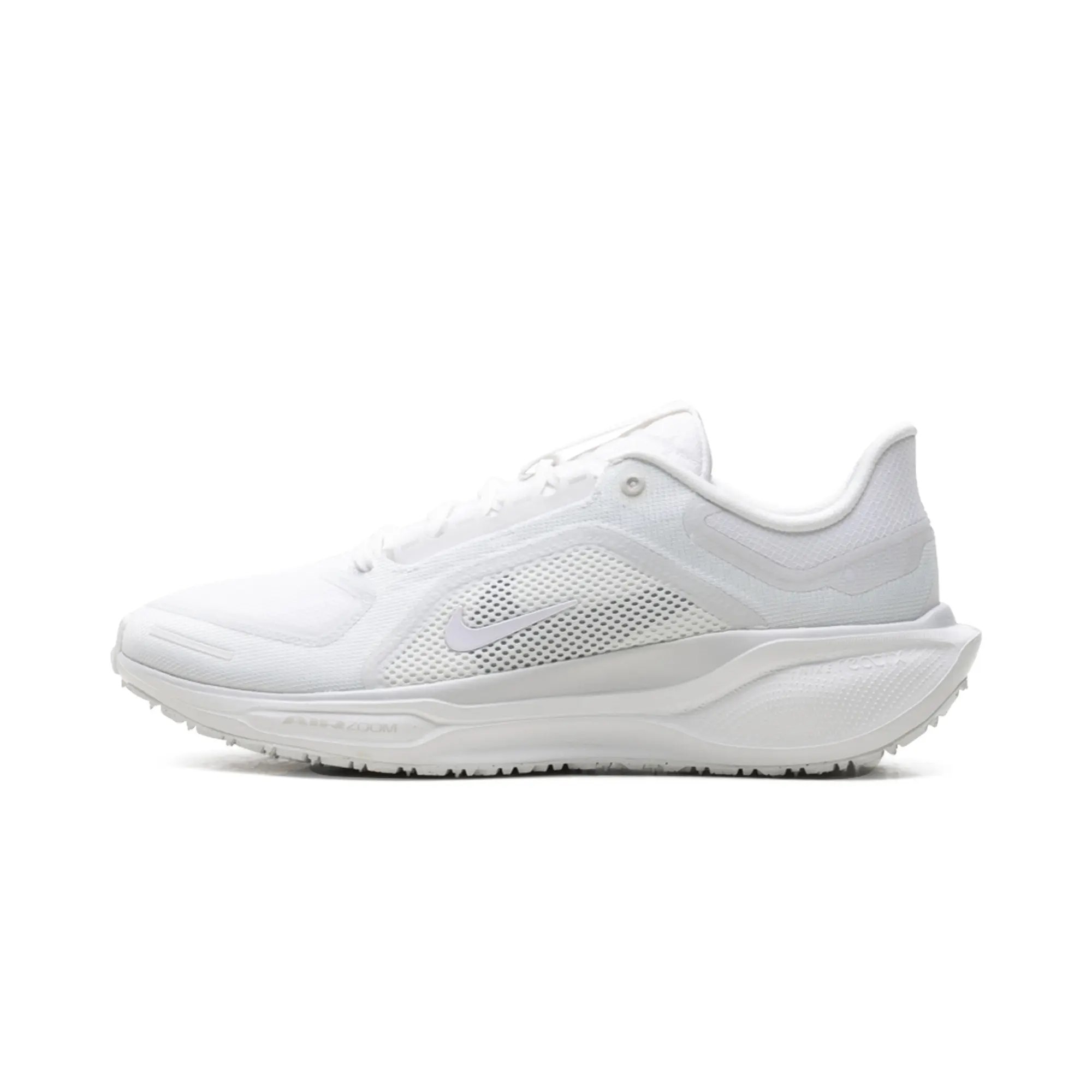 Air Zoom Pegasus 41 "Gore-Tex" FQ1356 101