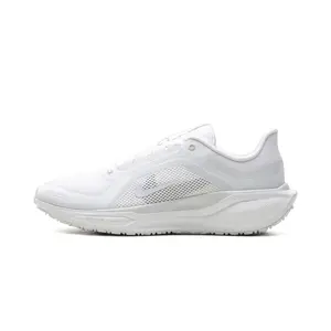 Air Zoom Pegasus 41 "Gore-Tex" FQ1356 101