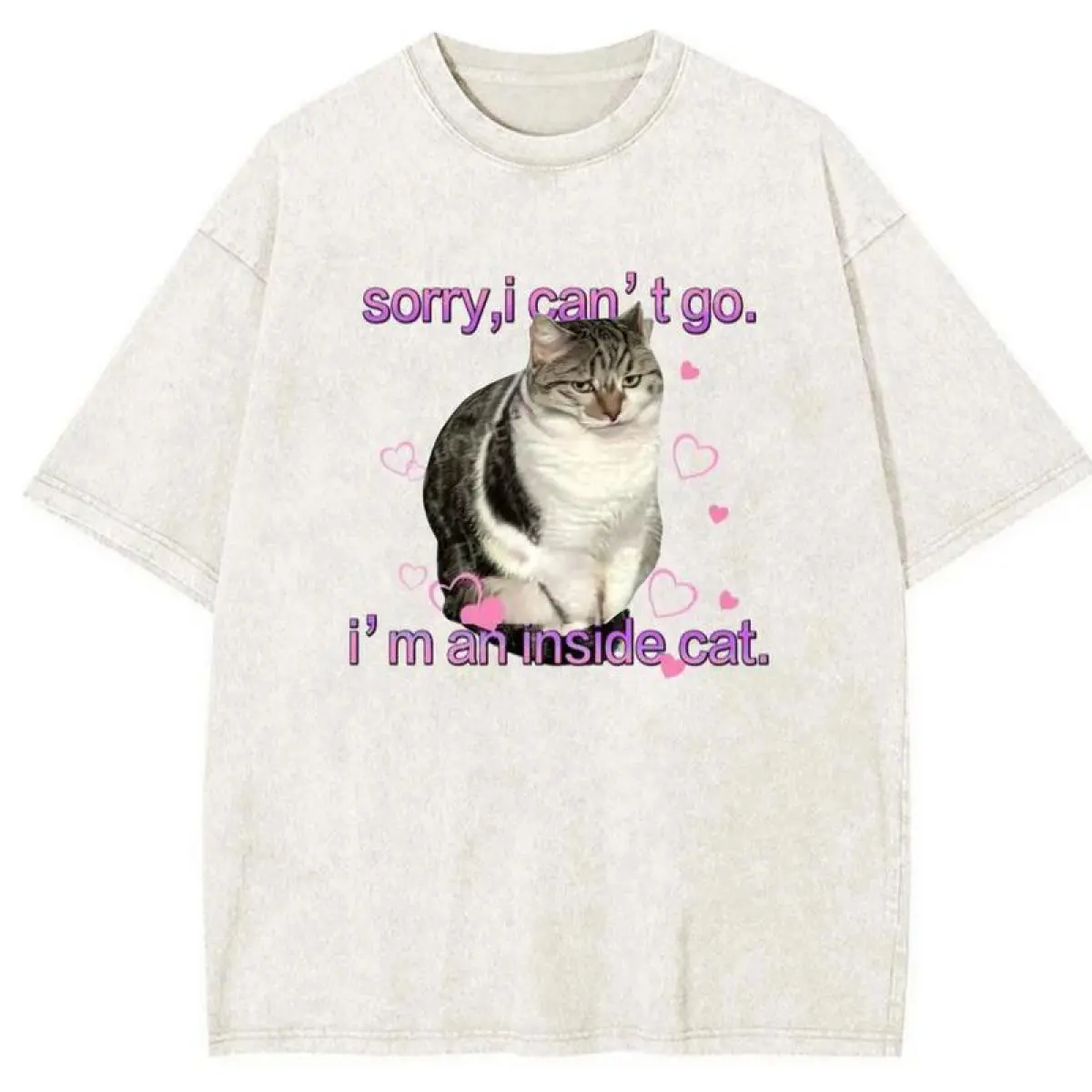 I'm an Inside Cat Y2k Funny Tee for Men and Women - Unhinged Graphic Tees, Funny Tshirt Exchange
