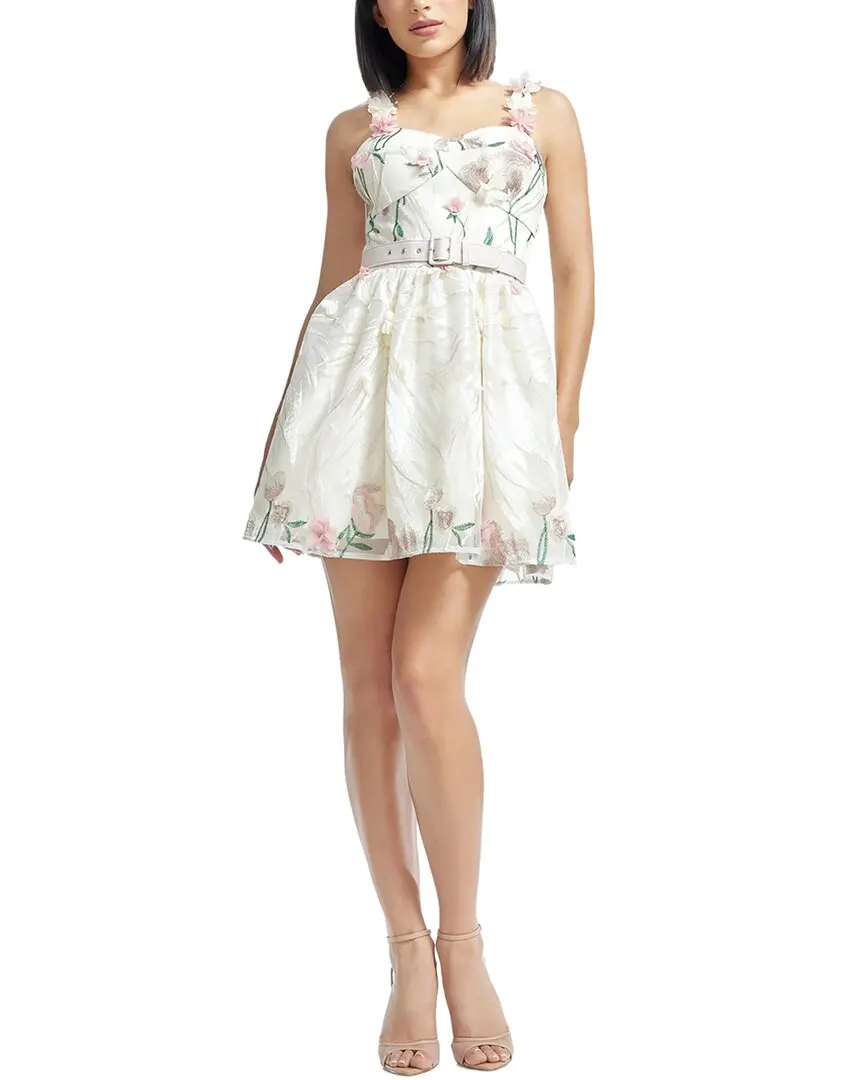 Dress The Population Darby Fit & Flare Dress