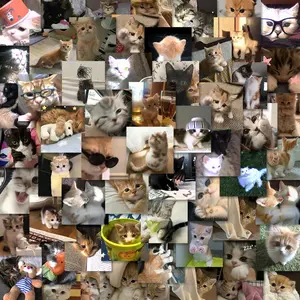Cute Cat Pattern Sticker, 63pcs/pack Waterproof Self Adhesive Decor Paper, Decor Sticker for Gift Greeting Card Water Bottle Laptop Phone