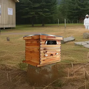 Garvee Upgraded 10-Frame Langstroth Beehive Starter Kit – Includes 1 Deep Brood Box and 1 Medium Super, Acrylic Window – Beeswax-Coated Cedar Wood, Dovetail Joints – Complete Beekeeping Hive for Beginners