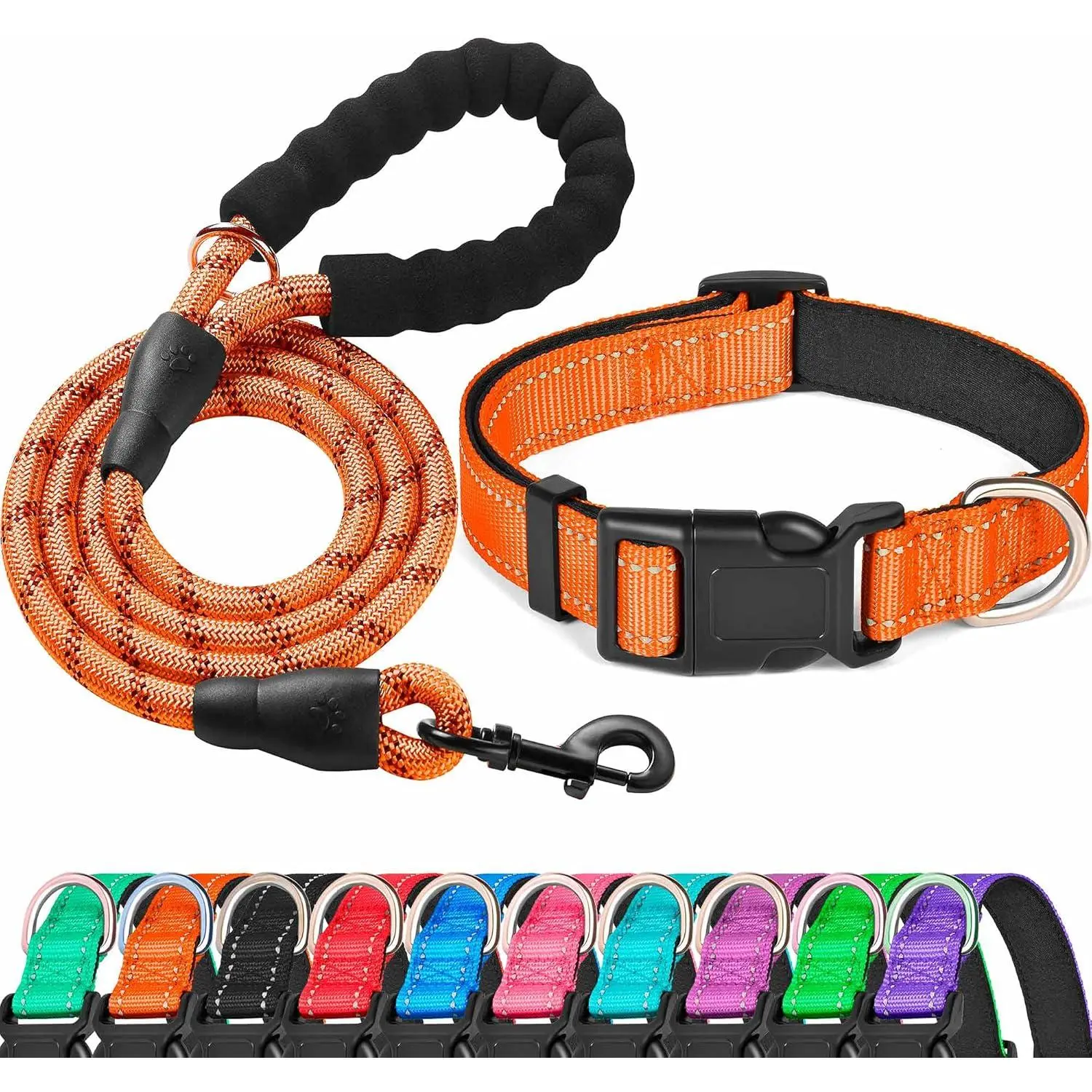Orange Collar+Leash