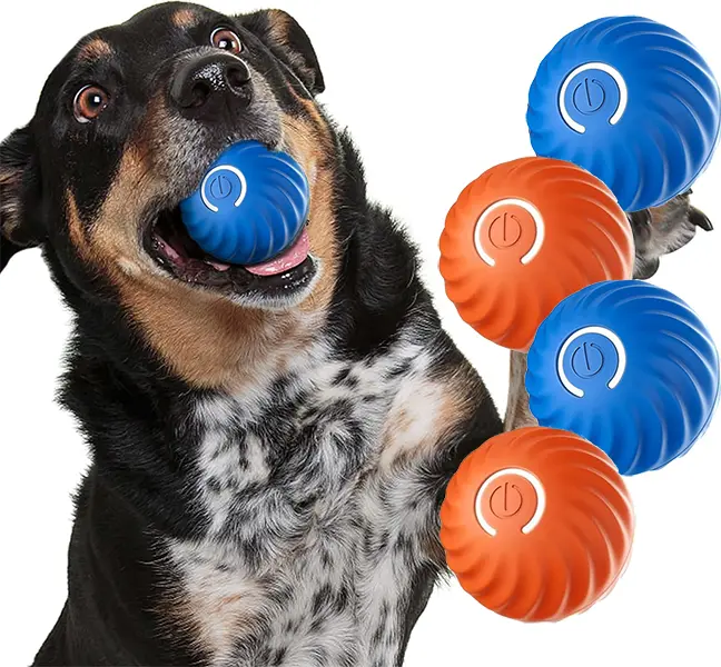 Vibratinf dog ball - TikTok Shop Vibratinf dog ball - TikTok Shop