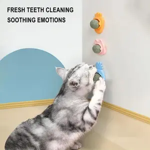 Catnip Wall Ball Toys