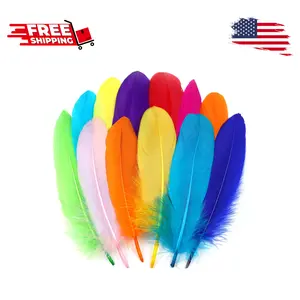 Colorful Goose Feathers for Crafts - 120Pcs 6-8 inch