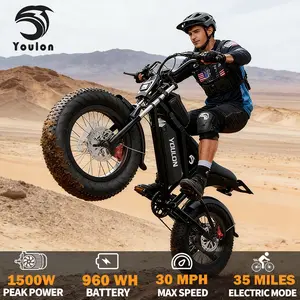 YOULON 1500W Peak  Electric Bike for Adults, 30MPH, 48V 20Ah Removable Battery, 20"x4" Fat Tire All-Terrain Ebike, 7-Speed Shimano, Dual Hydraulic Brakes, Full Suspension, 330LBS Load, IPX6 Waterproof Off-Road E-Bike for Commute Mountain Snow Sand