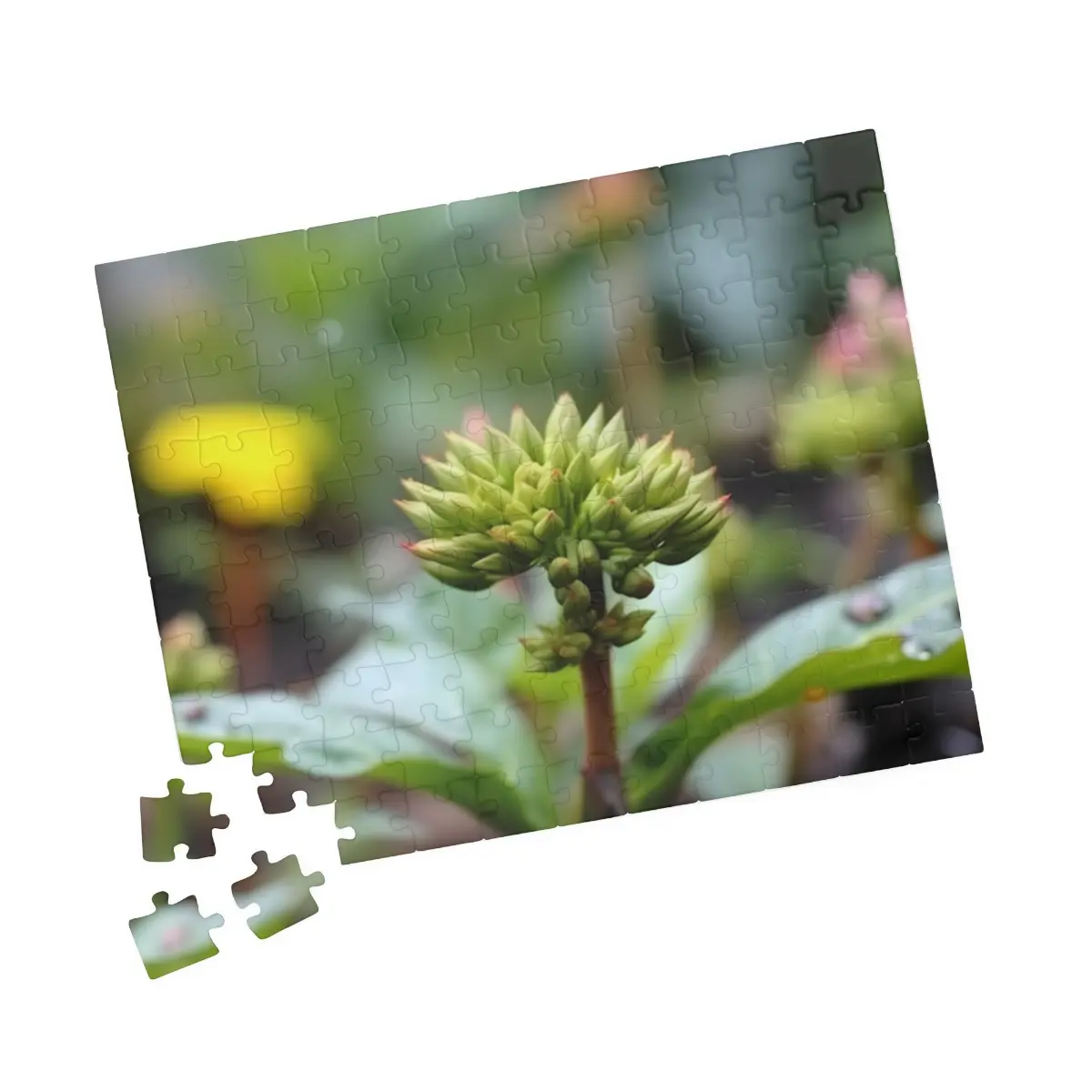 Baby Flower Buds Jigsaw Puzzle (110, 500, 1014-piece)