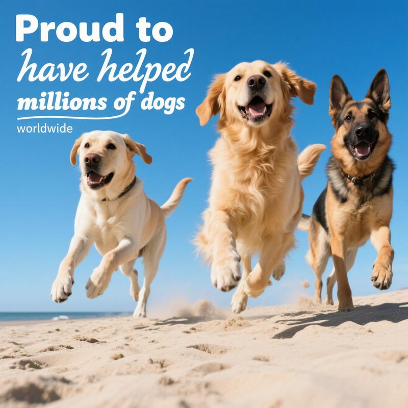 8-in-1 Multivitamin Soft Chews for Dogs – Probiotics, Gut & Immune Support – Natural Pork Flavor