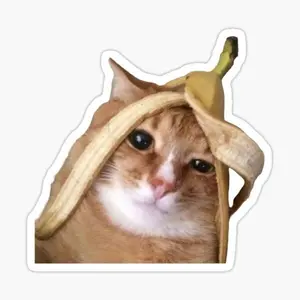 Poor Banana Cat Meme Sticker