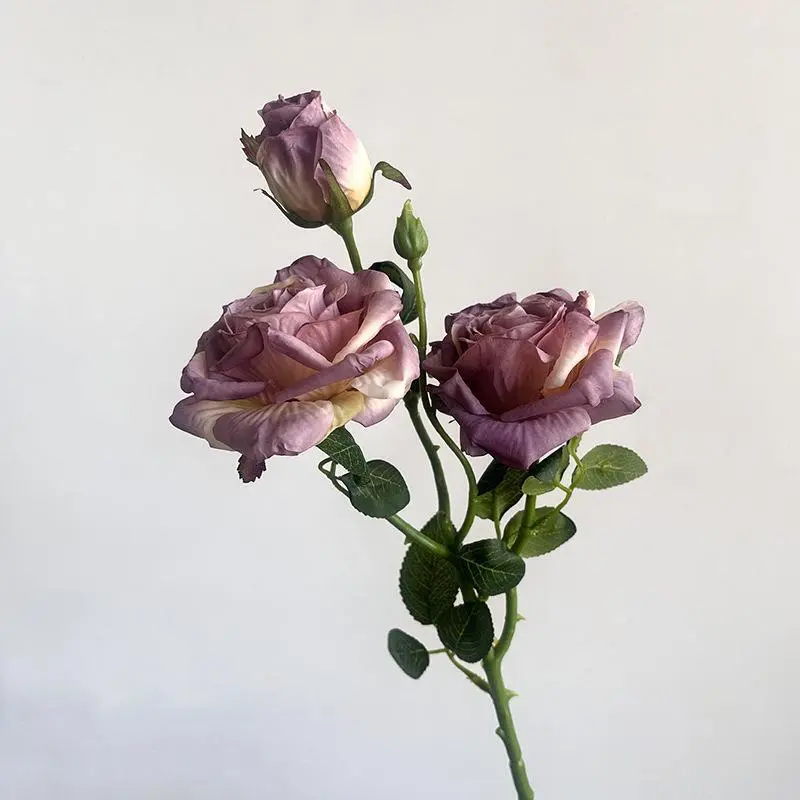 Purple vintage 3-headed rose
