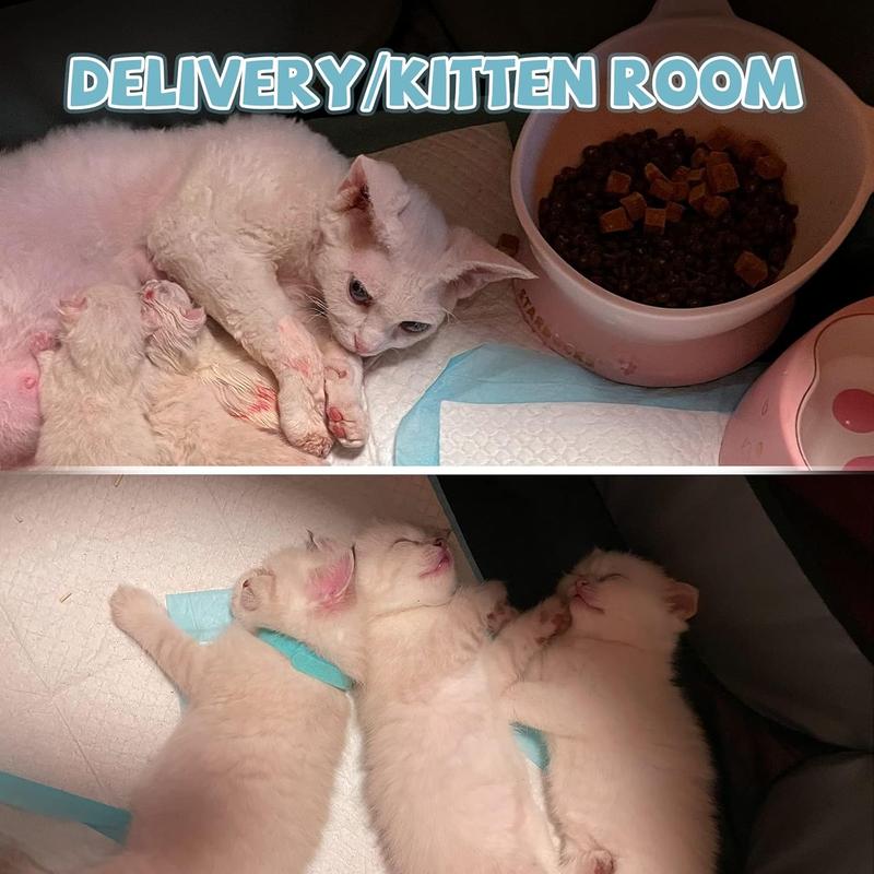 Portable Pet Playpen, Dog Playpen Foldable Pet Exercise Pen Tents Cat House Playground for Puppy Kitten Indoor Outdoor Travel Camping Use Beds Bedding Enclosure