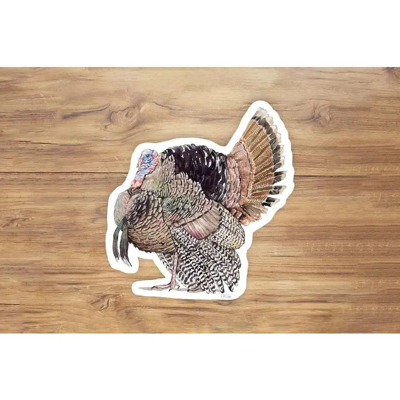 Wild Turkey Sticker, Merriam's Turkey Sticker, Turkey hunting Stickers, Autumn Sticker, Thanksgiving Sticker, Outdoorsman sticker, Vinyl Sticker, 2024 Thanksgiving Sticker