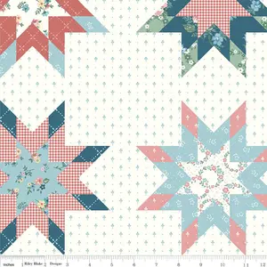 Fabric Riley Blake Mary Catherine Cheater Print by the Quarter Yard C16709-MULTI