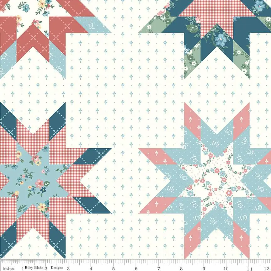 Fabric Riley Blake Mary Catherine Cheater Print by the Quarter Yard C16709-MULTI