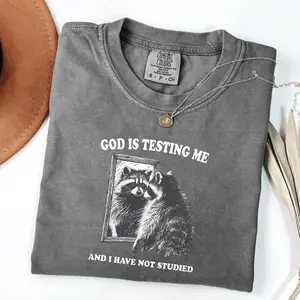 Comfort Colors God Is Testing Me TShirt, Funny Unisex Tee, Possum T-Shirt, Meme T-Shirt, Trash Panda TShirt, Raccoon Meme Tee