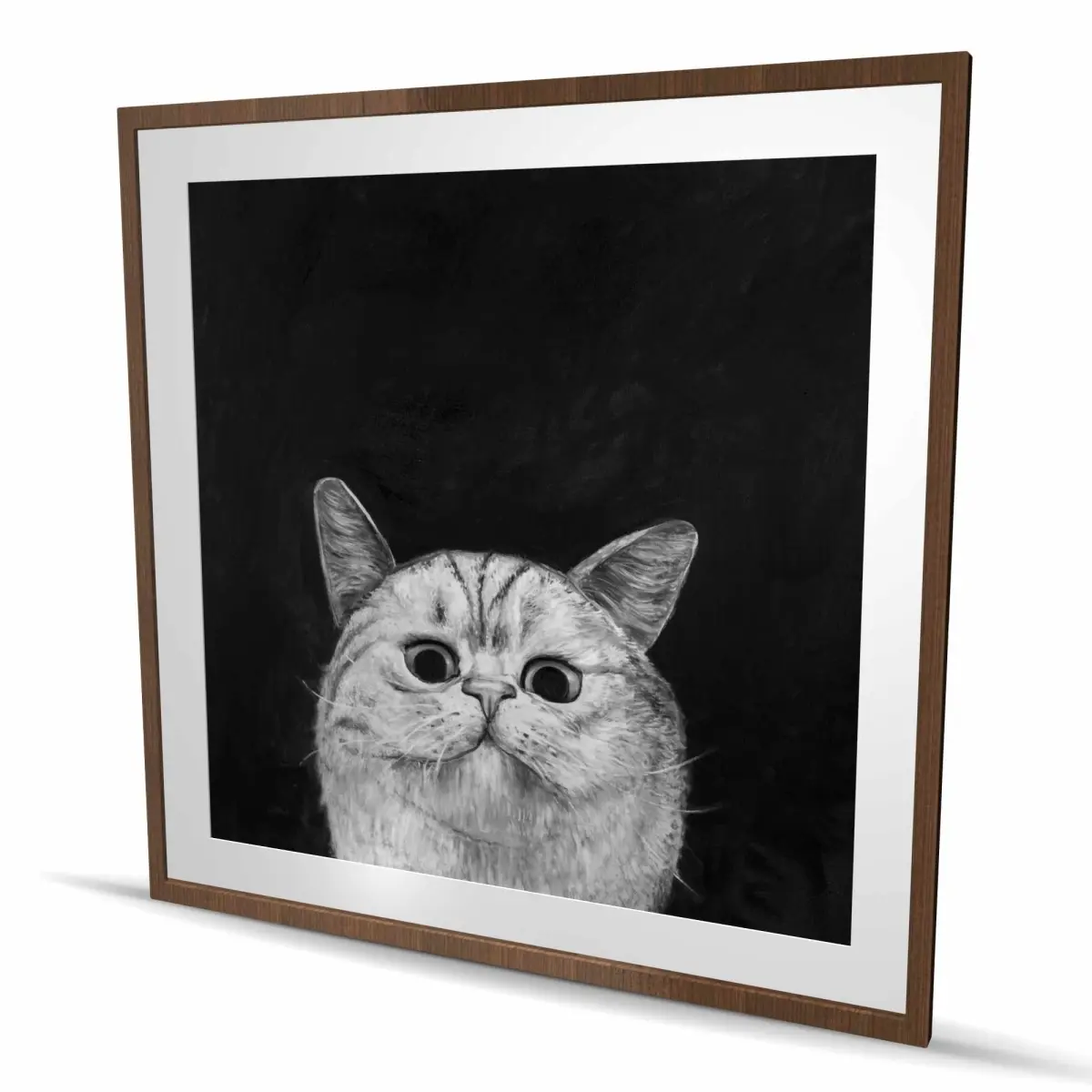 212 MAIN Curious Watching Cat Framed Matted Wall Artwork - 48x48 in Vibrant Durable Photo Print, Artistic Animal Art for Enhancing Home Decor, Indoor Living Room Focal Point Decoration