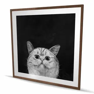 212 MAIN Curious Watching Cat Framed Matted Artwork - 48x48 in Vibrant Durable Photo Print, Home Decor Decoration Focal Point for Living Rooms