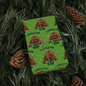 Barry Woods I Have A Big Package For You Christmas Digital Wrapping Paper, Funny Meme Holiday Gift Wrap, Digital Present Wrap, Xmas Gifts