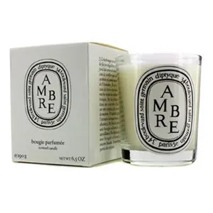 Diptyque 6.5 oz Scented Candle - Ambre Diptyque 6.5 oz Scented Candle - Ambre