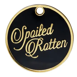 Spoiled Rotten Tag - Cool Pet ID Tag with Free Engraving, 30mm x 30mm, Zinc Alloy Finish, Steel Ring Included, Stylish and Durable for Pet Owners.