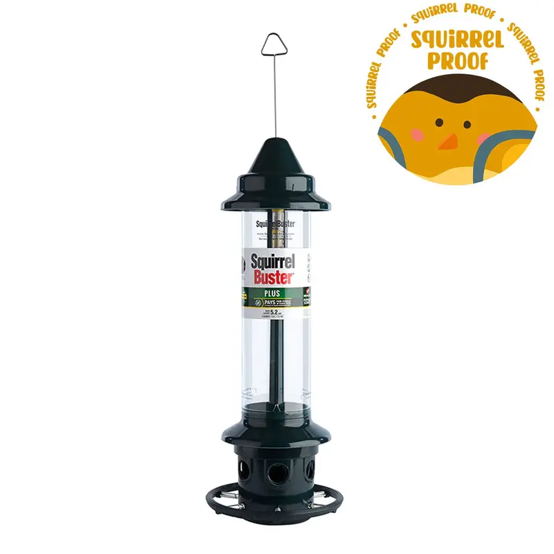Squirrel Buster Plus Feeder