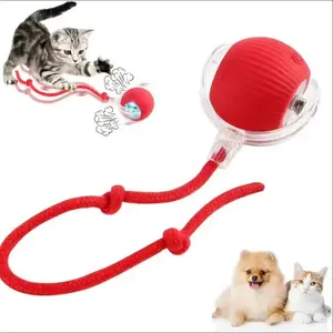 Electric Rolling Cat Ball Toy with Rope, Interactive Cat Teaser Toy, Automatic Ball Toy Pet Supply for Dogs & Cats, Interactive Kitten Wand