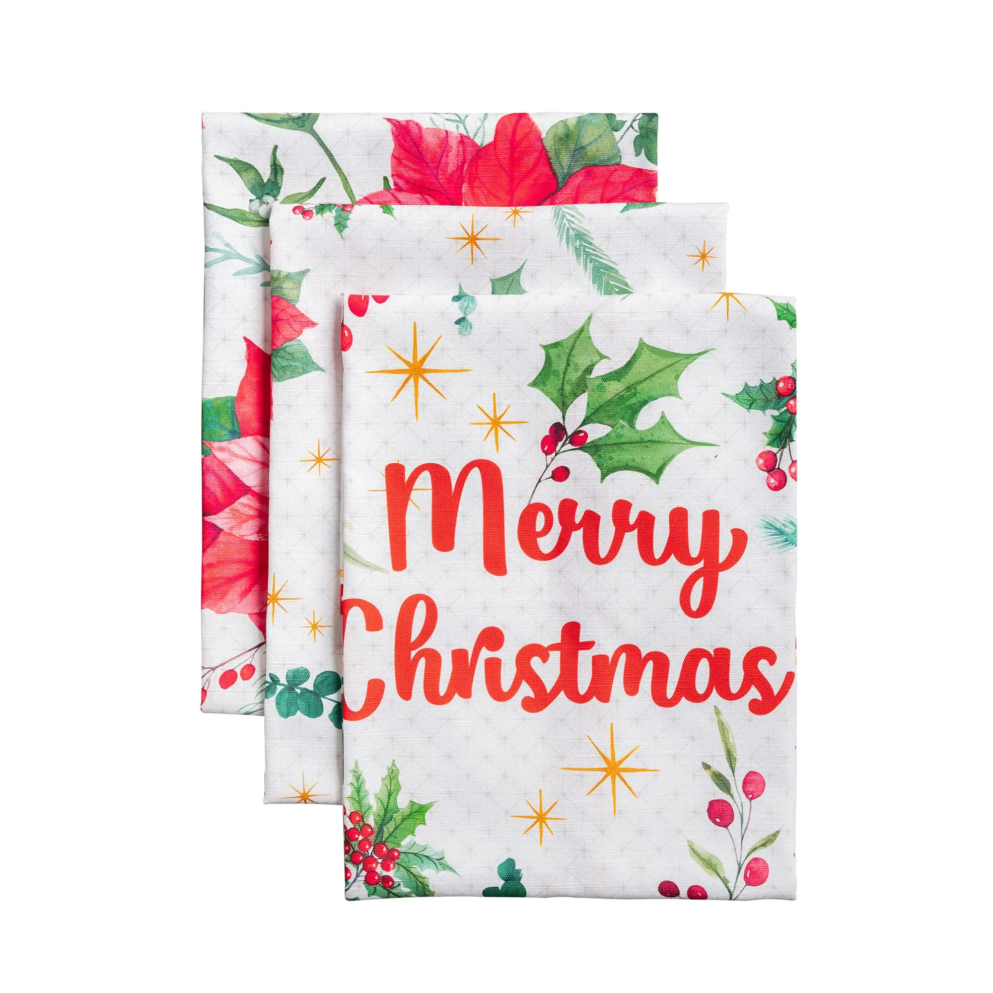 Poinsettia Christmas