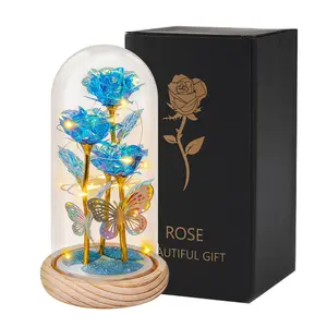 Mother's Day Rose Gifts for Her, Light Up Rose Flower Gift, Galaxy Rose Glass Forever Flowers with Heart-Shaped Base, Eternal Crystal Roses, Perfect Gifts for Grandma Wife Sister Girlfriend