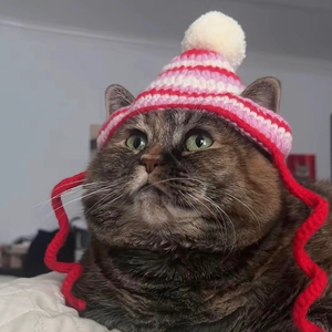 Cool.Cat.Cami